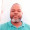 Nilton Lopes